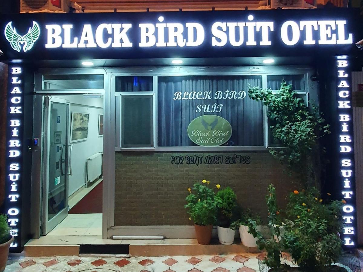 Black Bird Suite Hotel — Photos 2